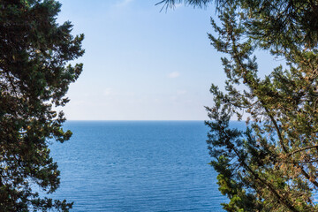Fototapeta na wymiar Sea and pines.Healing pine forests and fresh sea air. Blue and green colors.