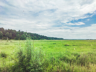 A beautiful bright green field and a beautiful landscape.