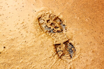 Shoeprint In Sand