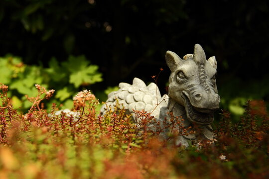 Stone dragon in garden behind sedum stonecrops