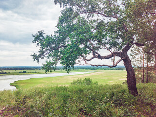 A beautiful view from a high hill to the endless field with a pond and trees in the distance.