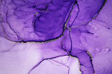 Luxury abstract fluid art painting background alcohol ink technique purple and gold. Abstract background. Modern contemporary art. Part of original alcohol ink painting. Hand painted ink texture.