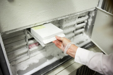 Scientific manipulating frozen test tubes in a laboratory