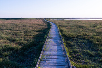 Wooden footbridge through a wetland