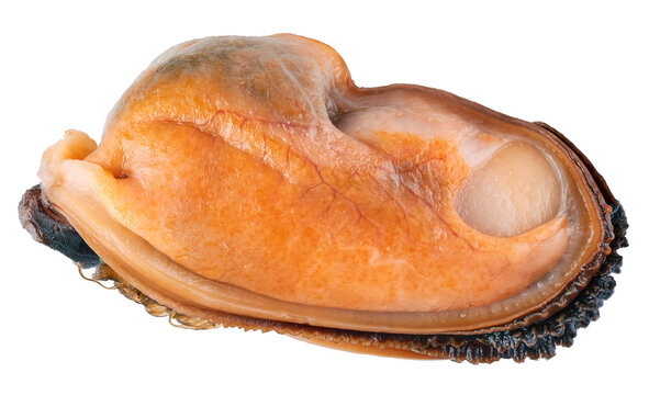 Mussel without shell isolated on white background  