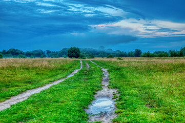 Fototapeta na wymiar A dirt road runs away through a green meadow into a summer fog. Soft focus