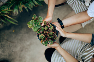 Young couple relax in the garden. They care plant and flower.