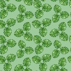 Watercolor monstera leaves hand drawn seamless  pattern.