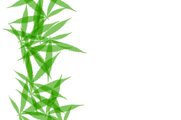Green cannabis leaves background. Drug marijuana herb leaves shapes with copyspace for text.