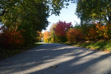 Obraz premium Beautiful autumn colors at sunset in Stockholm - Sweden