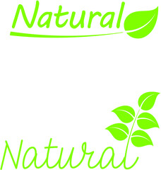 eco friendly green leaf