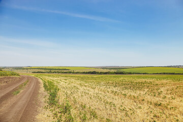 Green fields