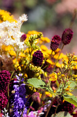 Summer bouquet of wild field flowers from the meadow. Beautiful florals on sunny day.