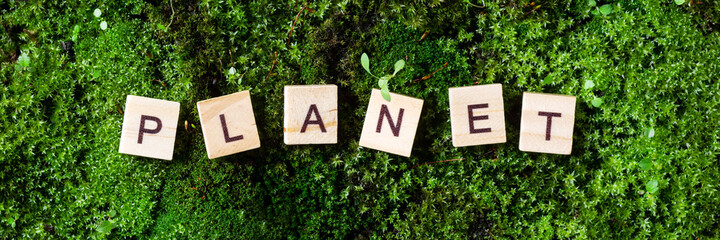 the word planet. The word planet is written on a green background of moss. Letters on wooden blocks...