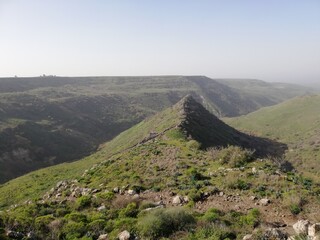 Golan heights