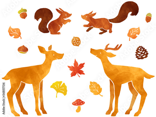 シカとリスのペア 紅葉 木の実の水彩風イラストセット Wall Mural Nora Hachio