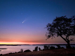 Fototapeta na wymiar 2020 Comet Neowise at dawn sky