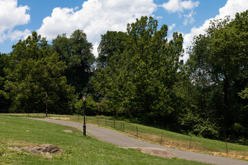 Empty Path at Central Park during Summer in New York City on a Beautiful Day