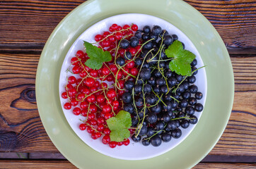 branches of red and black currants on a plate