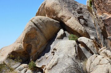 Joshua Tree National Park, Kalifornien