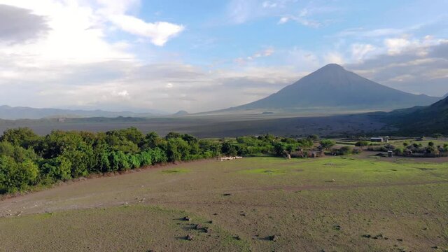 Aerial View on Sheep Flock in Maasai village in front of the Ol Doinyo Lengai - Mountain of God in the Maasai language, an active volcano in Arusha Region i the Northern Tanzania, Africa, at Sunset