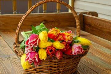 Fototapeta na wymiar Tulip flowers bouquet in a basket,outdoor.