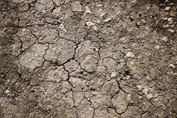 Ground texture. Rough, dry, cracked soil.