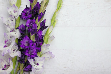 Purple toned gladiola flowers laying on a white wooden background. Flat lay of purple flowers left aligned with copy space. Floral card background. Fresh cut flowers form the garden. Country flowers.