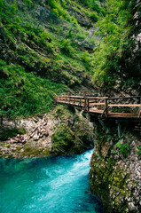 Fototapeta na wymiar Vintgar gorge, beauty of nature, clean water, mountain river Radovna flowing through it, near Bled, Slovenia