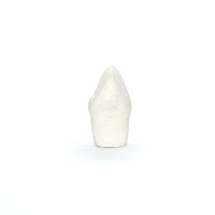 Plaster model of a maxillary canine tooth