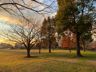 아름다운 가을 공원