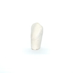 Plaster model of a maxillary canine tooth