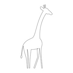 Abstract outline African giraffe Silhouette. Line illustration isolated on white background.