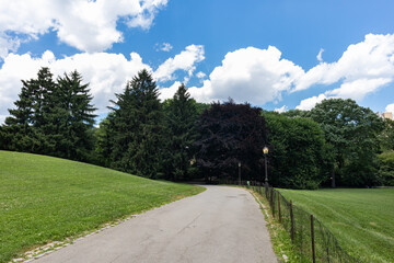 Empty Path with Green Grass at Central Park during Summer in New York City on a Beautiful Day