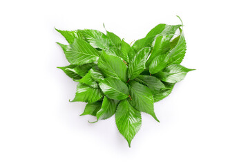 Ecological concept, environmental protection