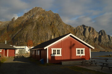 Fototapeta na wymiar Autumn colors in the mountains and fjords of the Lofoten islands in Norway