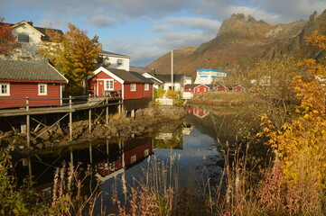 Obraz premium Autumn colors in the mountains and fjords of the Lofoten islands in Norway