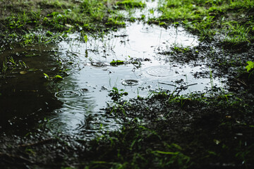 rain drops on the water puddle