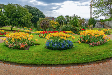 Fototapeta na wymiar Public Victorian Candie Gardens in St Peter Port, Guernsey. Candie Gardens - example of a late XIX century flower garden. Guernsey - British Crown dependency in English Channel off coast of Normandy.