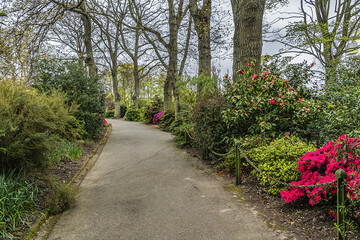 Public Victorian Candie Gardens in St Peter Port, Guernsey. Candie Gardens - example of a late XIX century flower garden. Guernsey - British Crown dependency in English Channel off coast of Normandy.