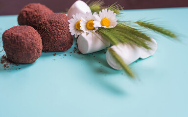 Obraz na płótnie Canvas Three round chocolate cakes, fresh small chamomile and white marshmallow. Beautiful blue background with sweets