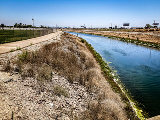 Fototapeta premium the river in the netherlands