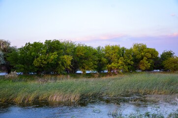 landscape with lake