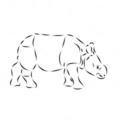 Wild rhino beautiful illustration on plain white background