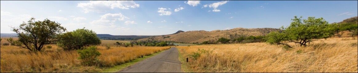 Fototapeta na wymiar Panoramic view of the bush in South Africa