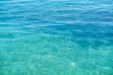 małe rybki morze adriatyckie Chorwacja
