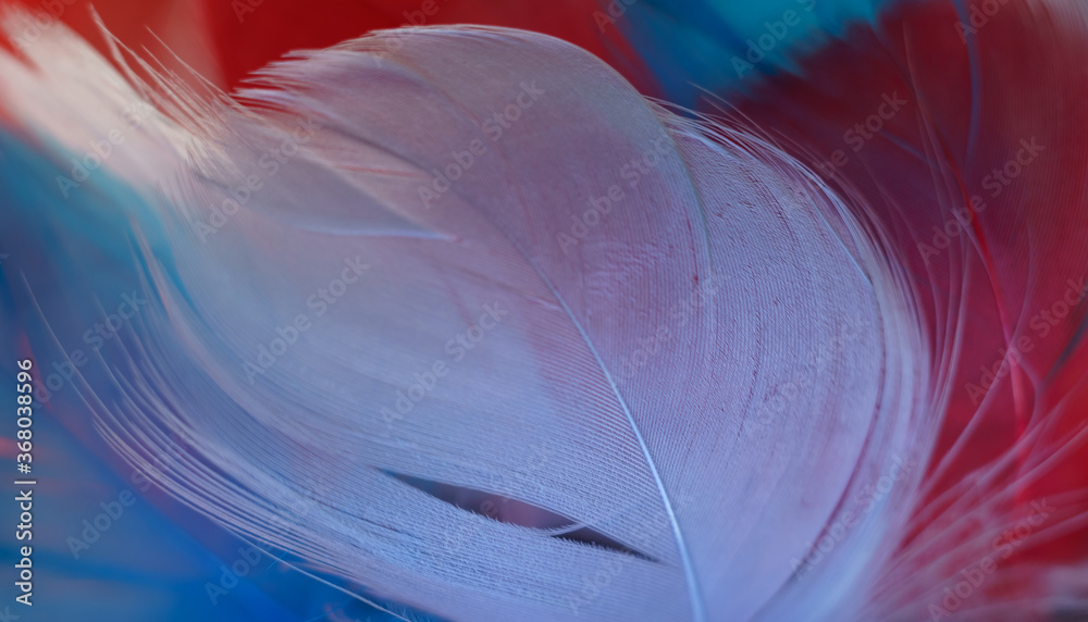 Poster exotic texture feathers background close up. red, blue, gray feathers pattern for your design. macro