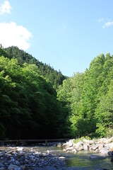 Mountain Area in Saitama, JAPAN