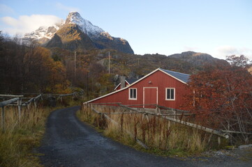 Fototapeta na wymiar Colorful autumn refelctions and colors in the mountains on the beautiful fjords of Lofoten in Norway