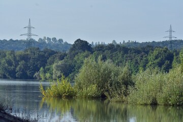 Obraz premium green forest reflected in the lake in summer